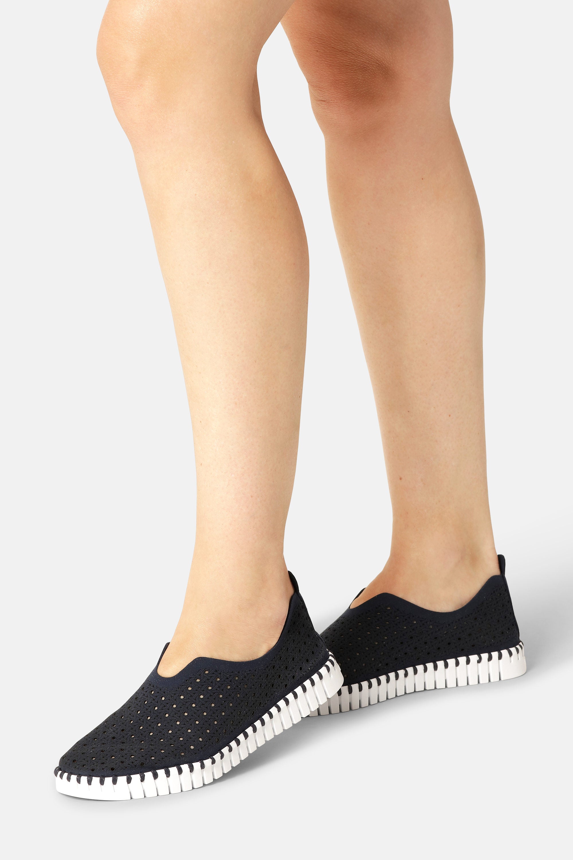 Tulip Skor - Dark Indigo White